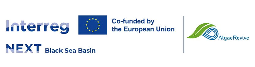 Interreg Logo